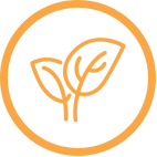 Yellow icon of new leaves